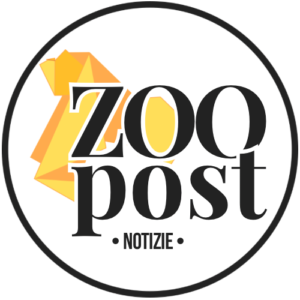 Redazione