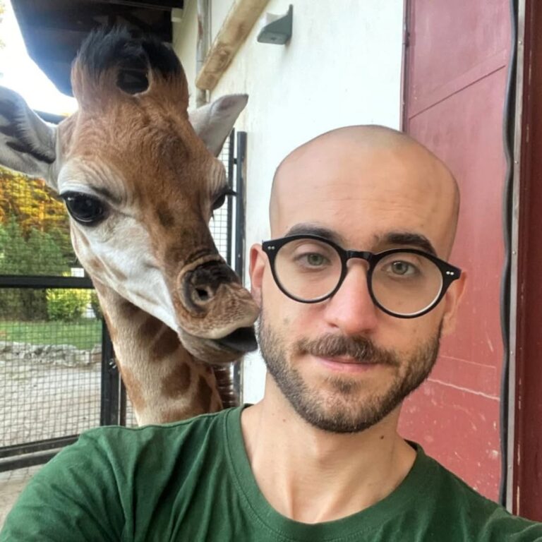 Salva grazie ai keeper: storia di Pietruszka, piccola giraffa dello Zoo di Varsavia
